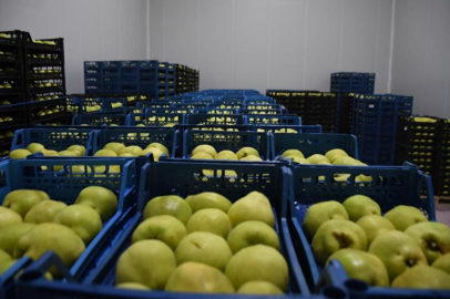 Kestel'e 400 milyon liralık dev meyve tesisi kuruluyor