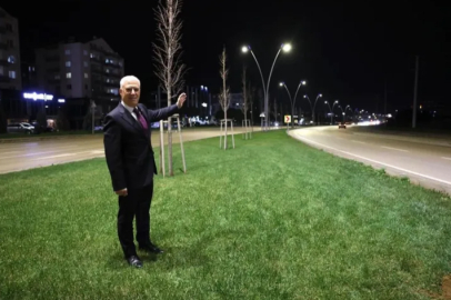 Çalı yolu Büyükşehir'le aydınlandı