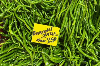 Seraları su basınca sivri biber ve salatalığın ateşi yükseldi