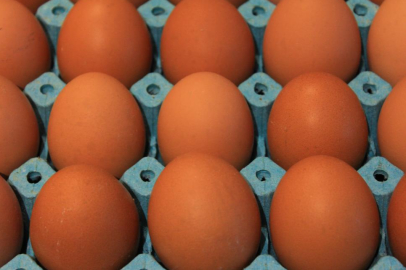 Kişi başına düşen yumurta üretimi 15 adet azaldı