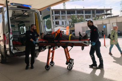 Bursa'da  ceviz ağacından düşen yaşlı adam ağır yaralandı