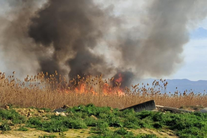 İznik'te rüzgarla birlikte sazlık yangını büyüyor