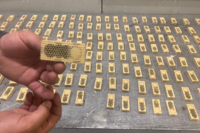 Ticaret Bakanlığı, 2025 yılında da kaçak canlı hayvan ticaretine geçit vermedi