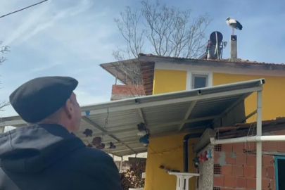 Leylek köyünde büyük sevinç