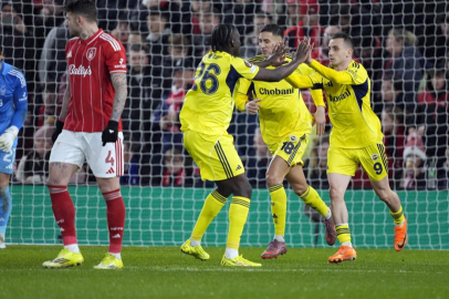 Fenerbahçe, Avrupa kupalarına veda etti