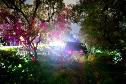 Mudanya’da kazadan kaçan sürücü zeytinliğe daldı