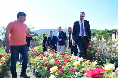 Süs bitkileri üretimi Kestel'den dünya pazarına açılıyor