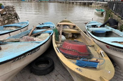 Turna severlere Uluabat Gölü'nden güzel haber