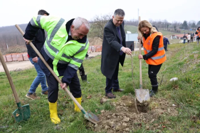 Unçukuru Mahallesi’nde atıl arazi Umut Ormanı’na dönüşüyor