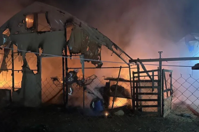 Bursa'da çiftlikte yangın: 580 kanatlı hayvan telef oldu