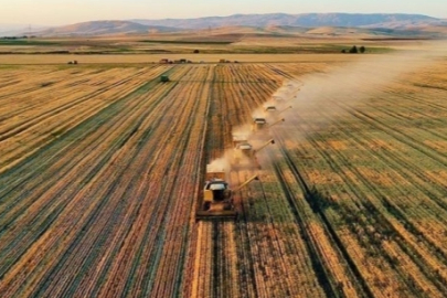 Tarım-ÜFE yıllık yüzde 40,10 arttı