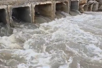 Kuruyan dere coştu, İznik Gölü’ne umut oldu