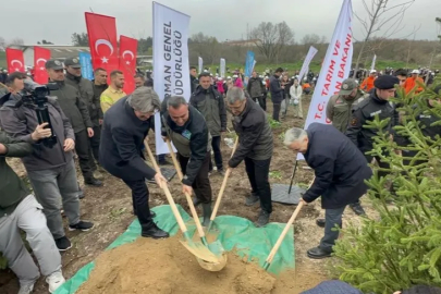 Bursa'da 2 yıl önce yanan 80 hektarlık alan ağaçlandırıldı