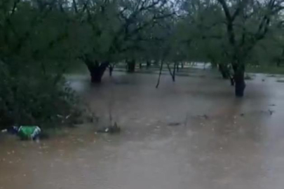 Kuraklığın ardından gelen sağanak İznik'i vurdu