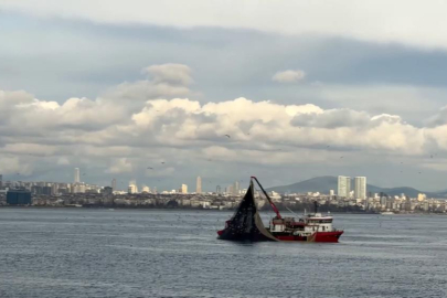 Av mevsiminin son günlerinde istavrit bolluğu