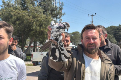 Güvercinin başkentinde gökyüzünde muhteşem şov