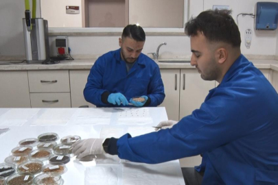 İran gerilimi sonrası gözler gıda güvenliğine çevrildi