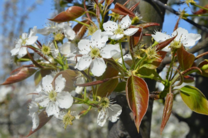 Bursa'da kartpostallık görüntüler