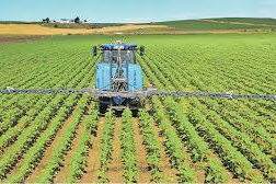 Tarım-ÜFE yıllık yüzde 36,09 arttı