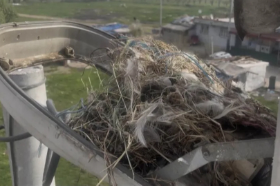 Bursa'daki sokak lambaları kuşlara yuva oldu