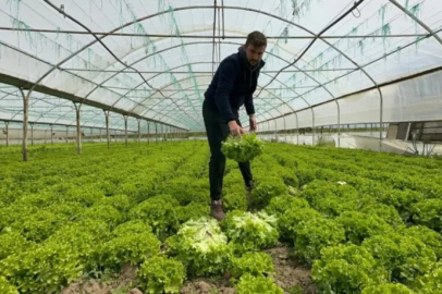 Bursa'da bu sefer tarladan güzel haber geldi...