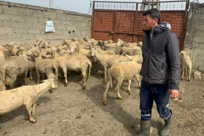 Kurbanlık parasıyla evlenmişti şimdi doğacak bebeği için kullanacak