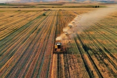 Tarım-GFE yıllık yüzde 31,55 arttı