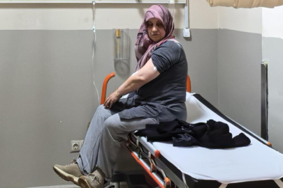 Bursa'da akrep sokan kadın hastanelik oldu