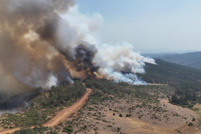 Bursa'da orman yangınının yaraları böyle sarıldı
