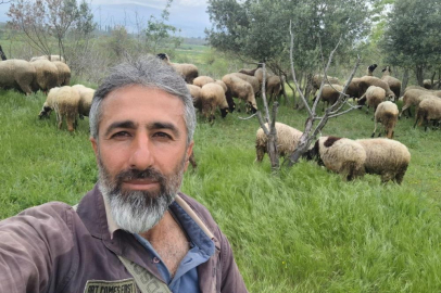 Çeşme sakızı ile Fransız koçunu birleştirdi, verimi katladı