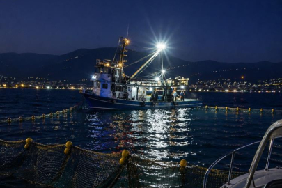 Gemlik Körfezi'nde sardalya avcılığı başladı
