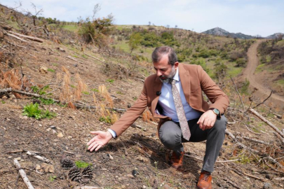 Başkan Işık’tan yeşil Gürsu çağrısı