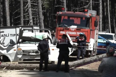 Bursa'da işe giderken ağaç altında can verdi