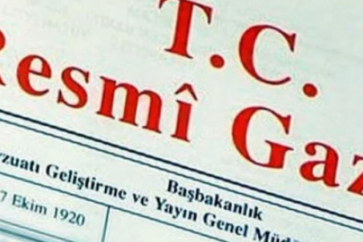 Sosyal Hizmetler Kanunu Resmi Gazete'de yayımlandı