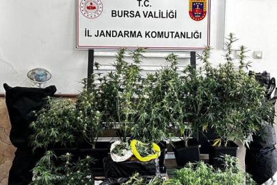 Bursa'da uyuşturucu operasyonu: 1 şüpheli tutuklandı