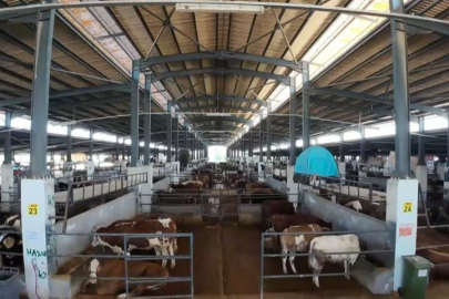 İnegöl Belediyesi Modern Hayvan Pazarı, yüzde 100'e ulaştı