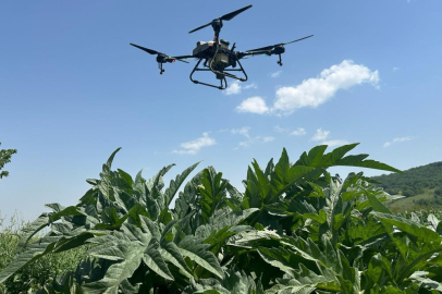Kestel Belediyesinden çiftçiye drone desteği