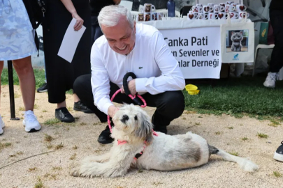 Nilüfer'de can dostlara yeni yuva