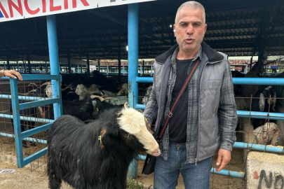 Bursa'daki kurban pazarının şampiyon keçisi 47 bin liradan satıldı
