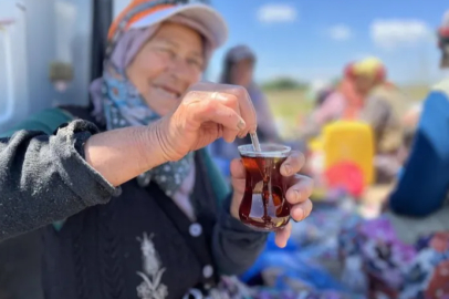 Bursa'da tarlanın vazgeçilmez molası