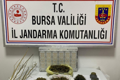 Bursa'da jandarma düğmeye bastı,uyuşturucu şebekesi çökertildi