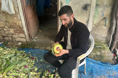 Enginar soyarak ayda 240 bin lira kazanıyor