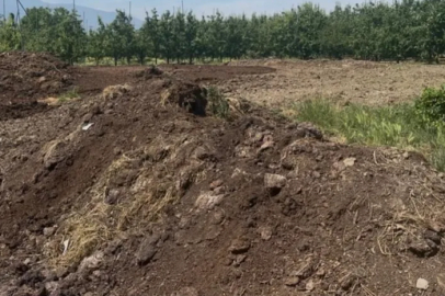 Organik gübre fiyatları geçen yıl ile aynı