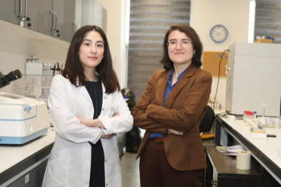 BTÜ’den atık zeytin dallarıyla kuraklığa akıllı çözüm
