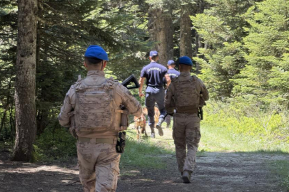 Uludağ'ın zümrüt yeşili ormanları Jandarma'ya emanet