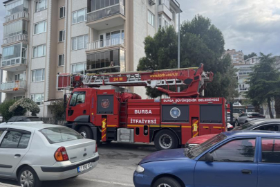 Bursa'da Kargaların Sadakati Şaşırttı! Kurtarma Ekibine Zor Anlar Yaşattılar