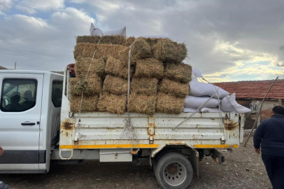 Üreticiye müjdeli haber: Saman fiyatları yarı yarıya geriledi