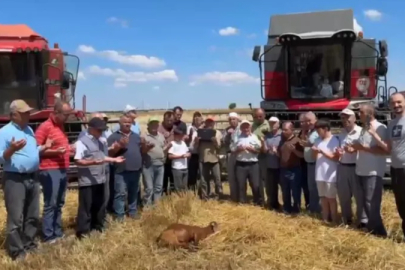 Hasat öncesi bereket duası