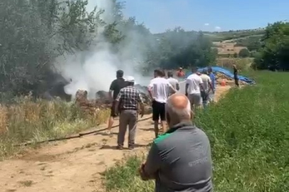 Bursa'da anız alevi 20 dönümü küle çevirdi
