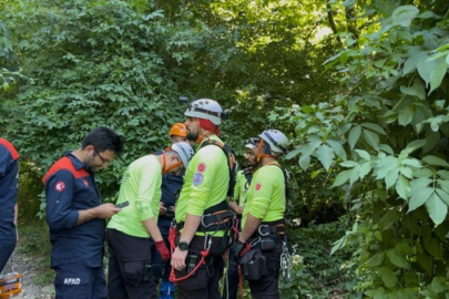 Bursa'da ıhlamur toplarken uçurumdan düştü, hayatını kaybetti